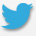 Pulsante twitter per il footer