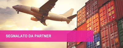 Cerco opportunità: logistica e trasporto 