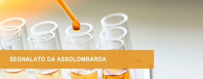 Cerco opportunità: settore chimico