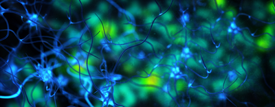 La filiera Life Science in Lombardia vale il 12,6% del PIL