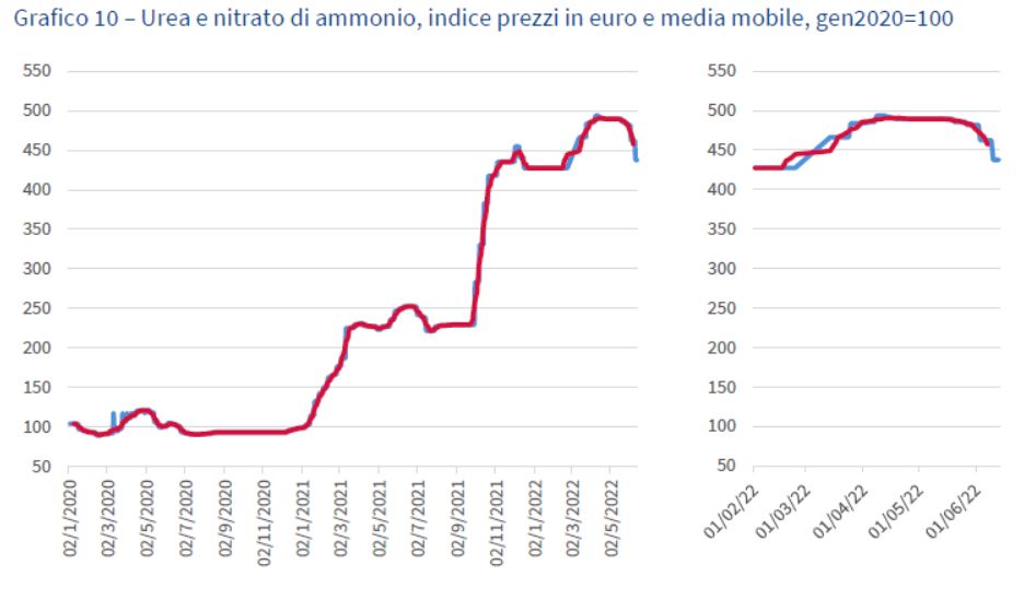 Grafico10