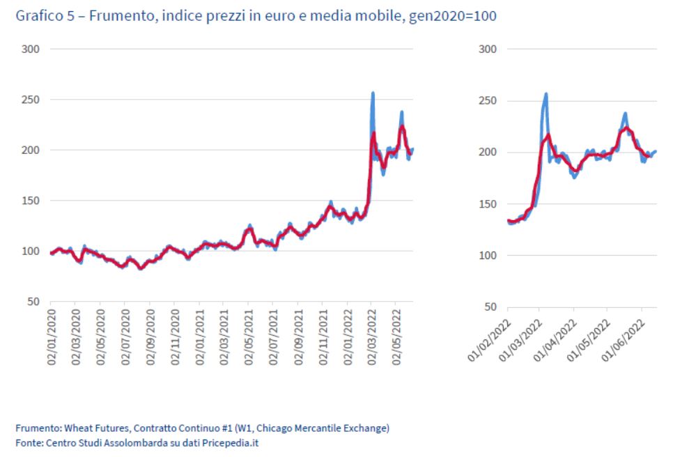 Grafico5