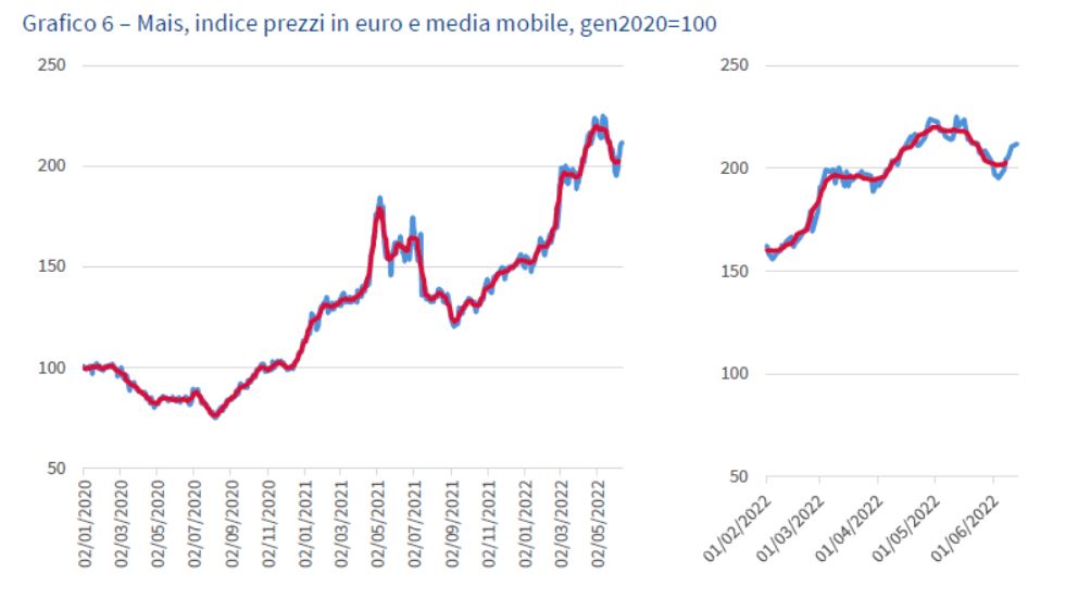 Grafico6