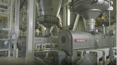 Bramanti