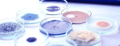 European & Developing Countries Clinical Trials Partnership