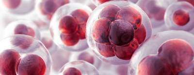 Medicina personalizzata: lanciata la EP PerMed Partnering, una nuova piattaforma per le collaborazioni