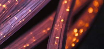 Pubblicato accordo finale sulla riforma della valutazione della ricerca