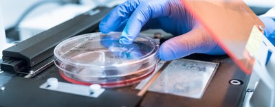 Ricerca: iniziata consultazione di primo livello prevista da convenzione con HT