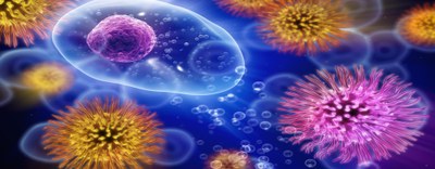 Si conclude l’esperienza del JPIAMR: al via la nuova Partnership europea su One Health e resistenza antimicrobica