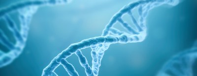 Webinar su ERC Work Programme 2026