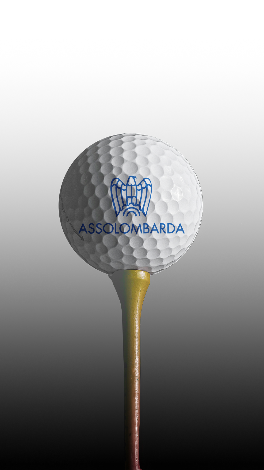 Networking e premiazione