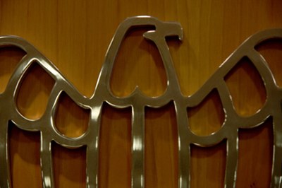 Consiglio Gruppo Sanità e Life Sciences - Rinnovo cariche 2016