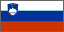Bandiera Slovenia