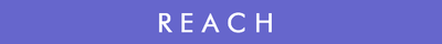 Testata REACH