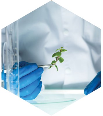 Kolinpharma