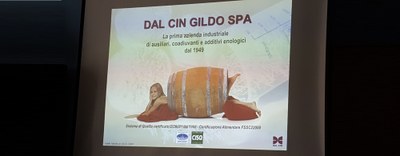 Dal Cin SpA: una lezione sull’enologia