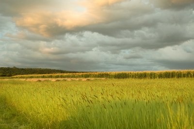 Incontro presso il Parco Teconologico Padano