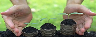 PNRR: istituito il Green Transition Fund 