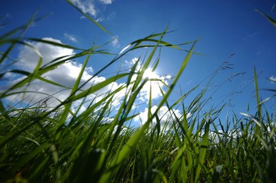 Albo dei Gestori Ambientali: approvate nuove delibere