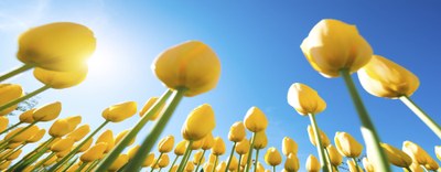 CBAM - Consultazioni Commissione europea atti di implementazione 