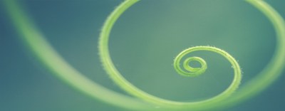 Consultazione pubblica europea sul Circular Economy Act