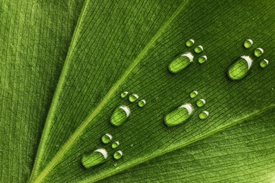 Ecogestione - Raccomandazione europea su metodologie per misurare e comunicare le prestazioni ambientali di prodotti e organizzazioni