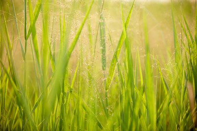 GPP - Criteri ambientali minimi (Cam) per carta per copia e carta grafica: aggiornamento 2013