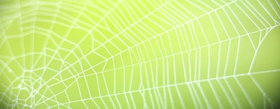 Inquinanti organici persistenti (POP) - Pubblicato il nuovo regolamento