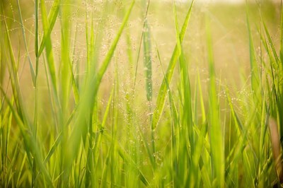 Istituito il Registro elettronico per la tracciabilità dei rifiuti