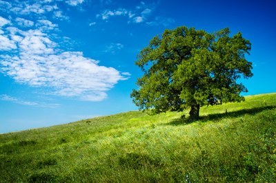 Revisione normativa regionale in materia di difesa del suolo, di prevenzione del rischio idrogeologico e di gestione dei corsi d’acqua