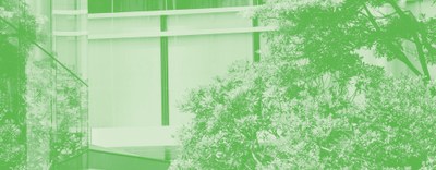 Nuova edizione Linee Guida Tassonomia e Vademecum DNSH