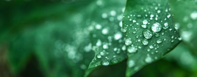 Pubblicata la Legge regionale per il clima