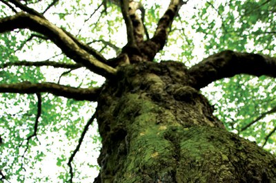 Pubblicazione della monografia "Le emissioni in atmosfera"