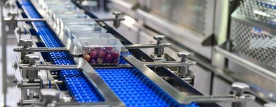 Regolamento (UE) 2025/2365: prevenzione delle dispersioni di pellet