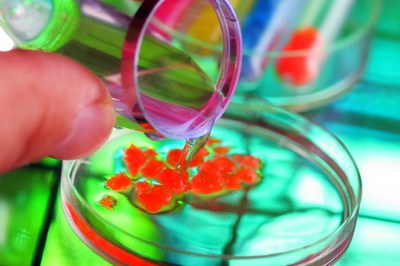 CCNL Chimico e Chimico-Farmaceutico - Incrementi del trattamento minimo contrattuale e innovazioni normative previste dal CCNL nel 2017