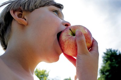 FASA - Invio Regolamento aggiornato Fondo sostegno maternità/paternità