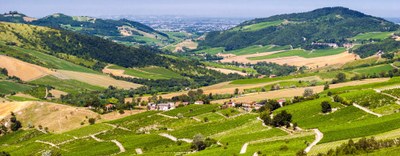 Forum “Visione Vino – Radici profonde, sguardo lontano" - Voghera, 16 e 17 ottobre 2026