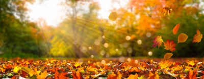 Assolombarda e Assolombarda Servizi - 2 novembre: chiusura uffici 