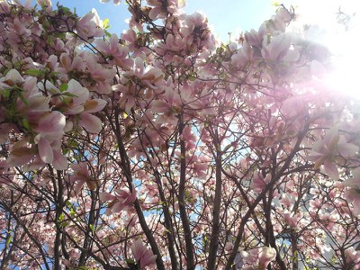 Assolombarda e Assoservizi - 26 aprile: chiusura uffici 