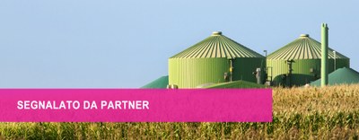 Cerco opportunità: energie rinnovabili 