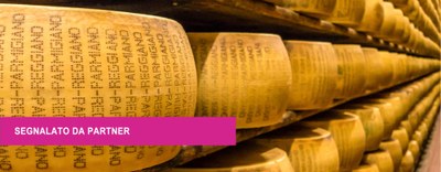 Offro opportunità: settore del Parmigiano Reggiano