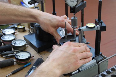 Alla scoperta della Disa