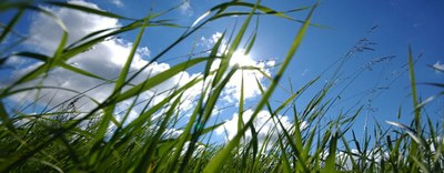 DL Milleproroghe: emendamenti su biogas e oneri di sistema