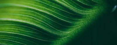Proroga comunicazione 4.0