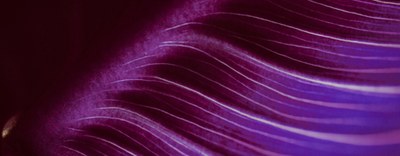 Super deduzione nuove assunzioni: semplificazioni per i gruppi