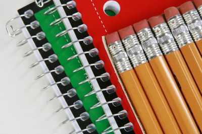 Ricognizione, analisi e valutazione della modalità di gestione dell’Alternanza Scuola-Lavoro nelle scuole