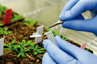 Gli esperti di Assolombarda per la ricerca e l’innovazione - Luglio 2012