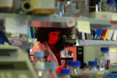 Gli esperti di Assolombarda per la ricerca e l’innovazione - Maggio 2014