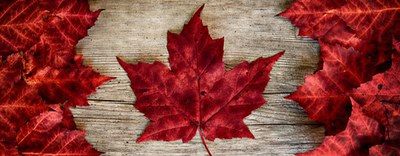 Business Forum Italia-Canada. Toronto, 29 ottobre