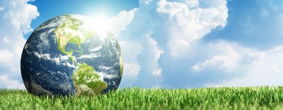 Europa, smaltimento dei rifiuti di imballaggio ed etichettatura ambientale: normativa e obblighi per le aziende